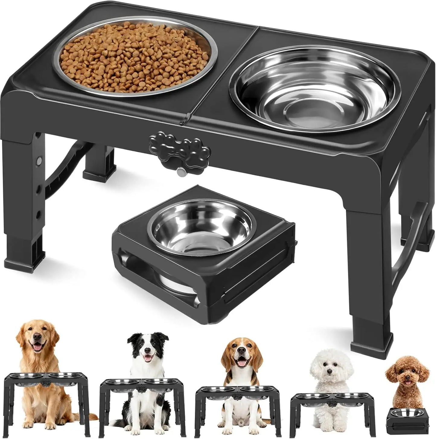 Elevated Dog Bowls for Small Medium Pets