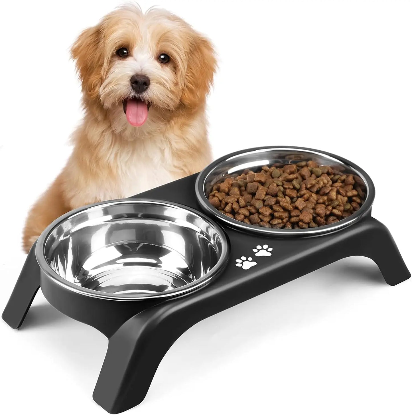 Elevated Dog Bowls for Small Medium Pets