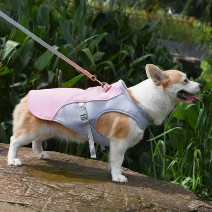 Dog Cooling Summer Harness