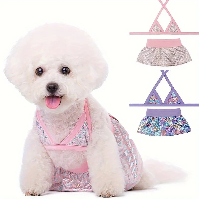 Cutest 2-Piece Doggie Swimsuit