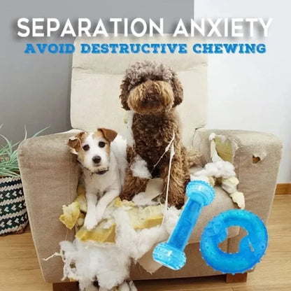 Summer Dog Chew Toys