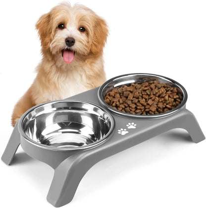 Elevated Dog Bowls for Small Medium Pets
