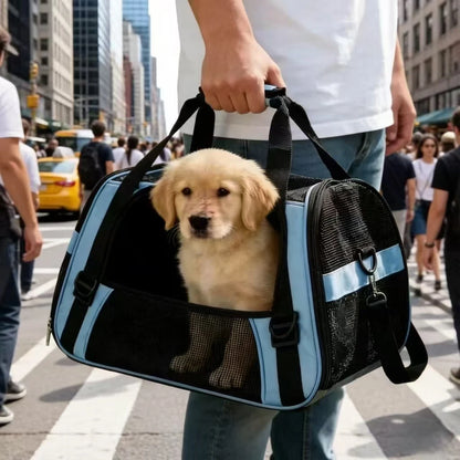 Sturdy Ventilated Travel Pet Carrier in Blue