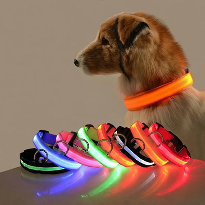 Nylon LED Night Safety Pet Dog Collar