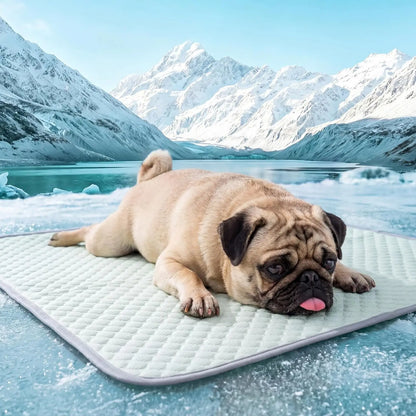 4-Pack Washable Pet Pee Pads