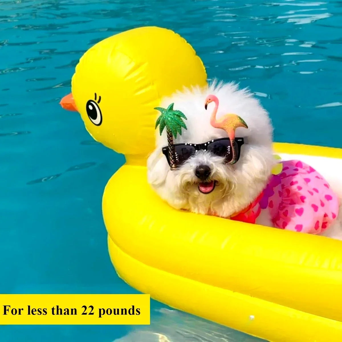 Dog Pool Float Inflatable Yellow Duck for Small Pets