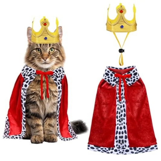 Small Pet Halloween Costume