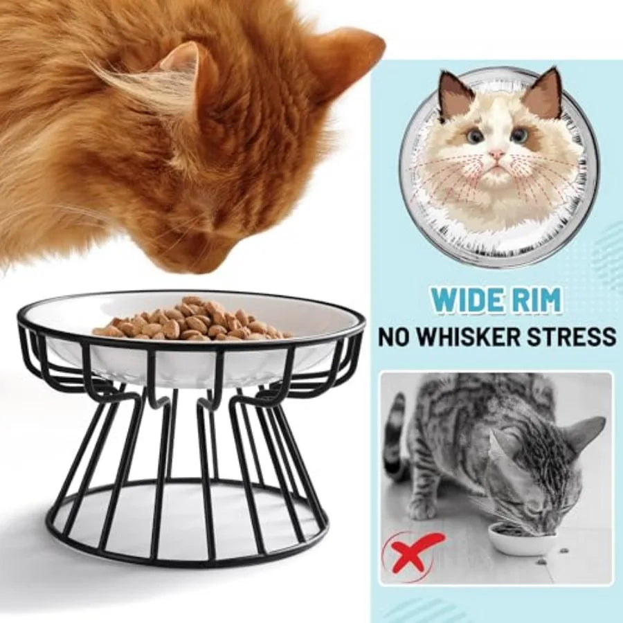 Cute Raised Ceramic Dish with Metal Stand