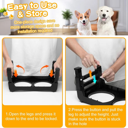Elevated Dog Bowls for Small Medium Pets