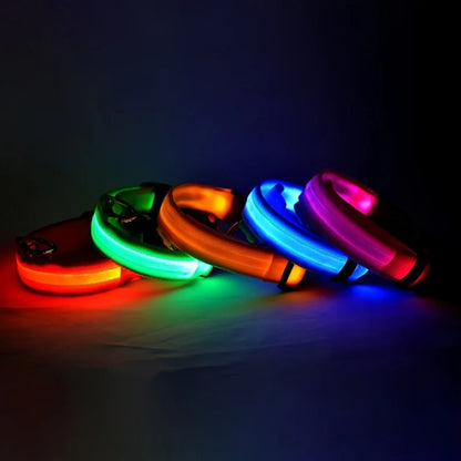 Nylon LED Night Safety Pet Dog Collar