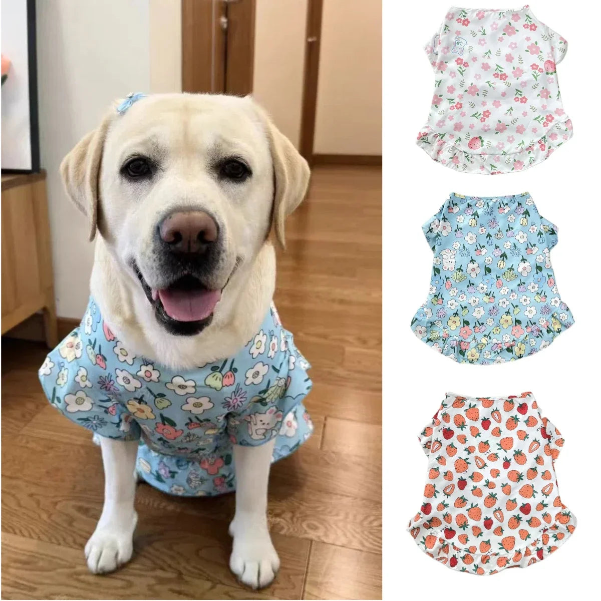 Summer Print Dog Shirt Dress