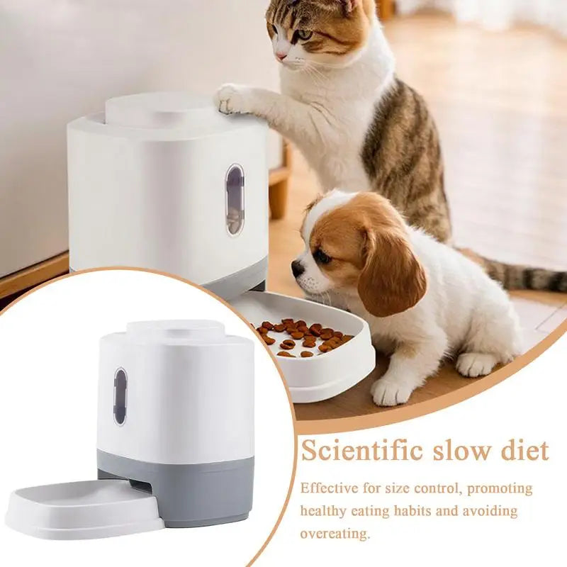 Automatic Pet Feeder With Bowl