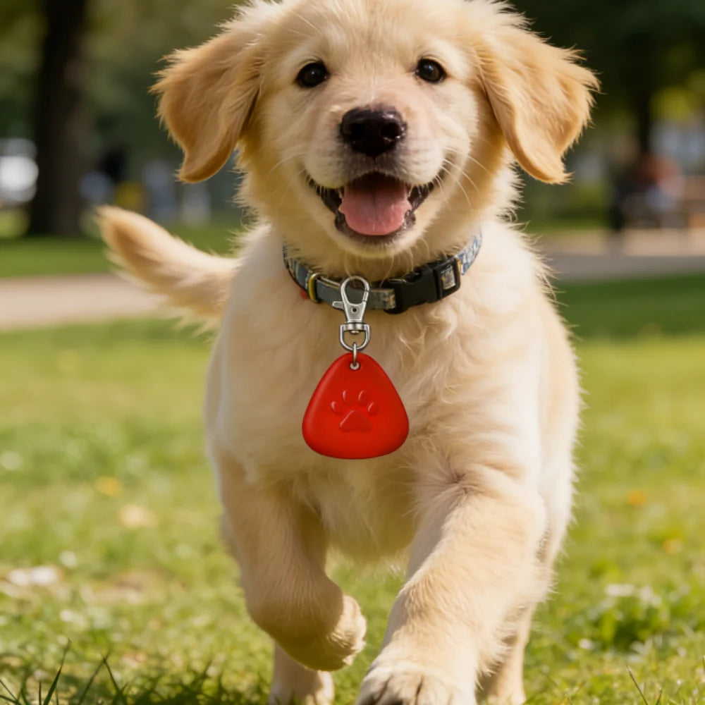 LED Pet Collar Light, Clip-On Safety Light