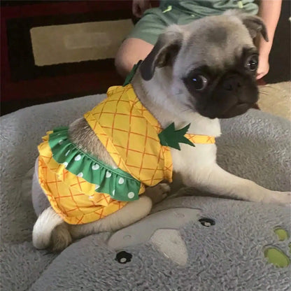2-Piece Pineapple Pet Swimwear