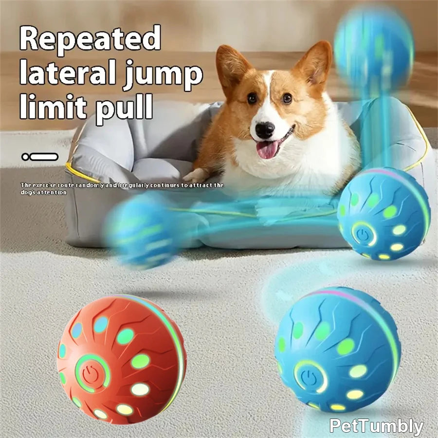 Smart Pet Interactive Toy Ball