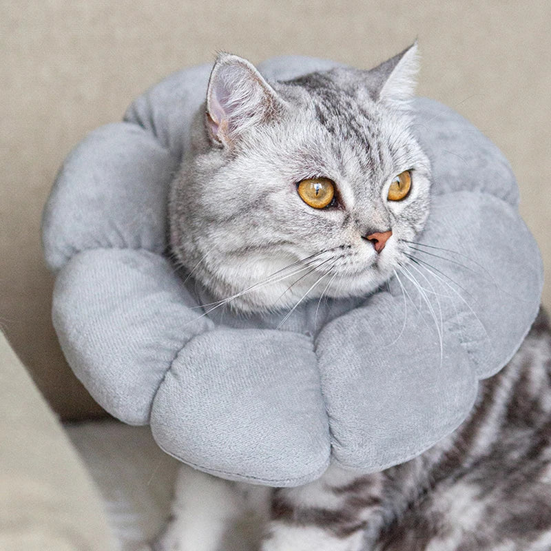 Comfortable Pet Recovery Collar