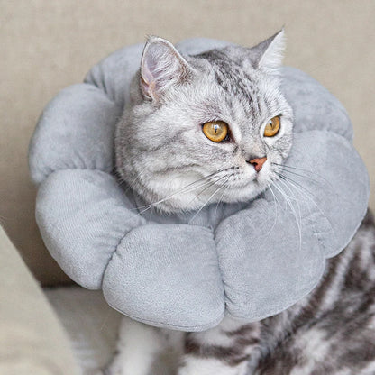 Comfortable Pet Recovery Collar