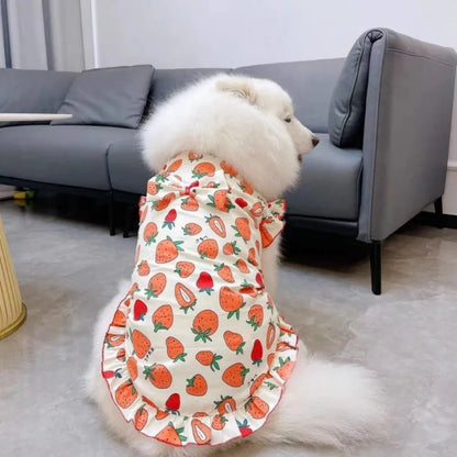 Summer Print Dog Shirt Dress