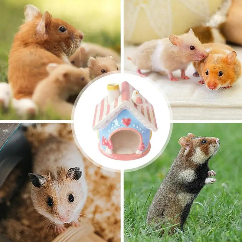 Adorable Ceramic Hamster Hiding Home