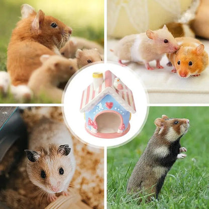 Adorable Ceramic Hamster Hiding Home