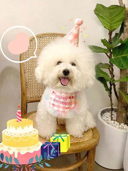 Adorable Pet Birthday Bib and Party Hat