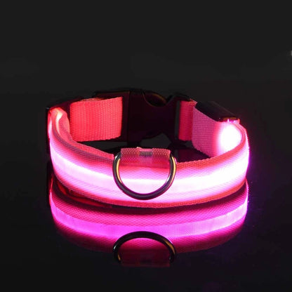 Nylon LED Night Safety Pet Dog Collar