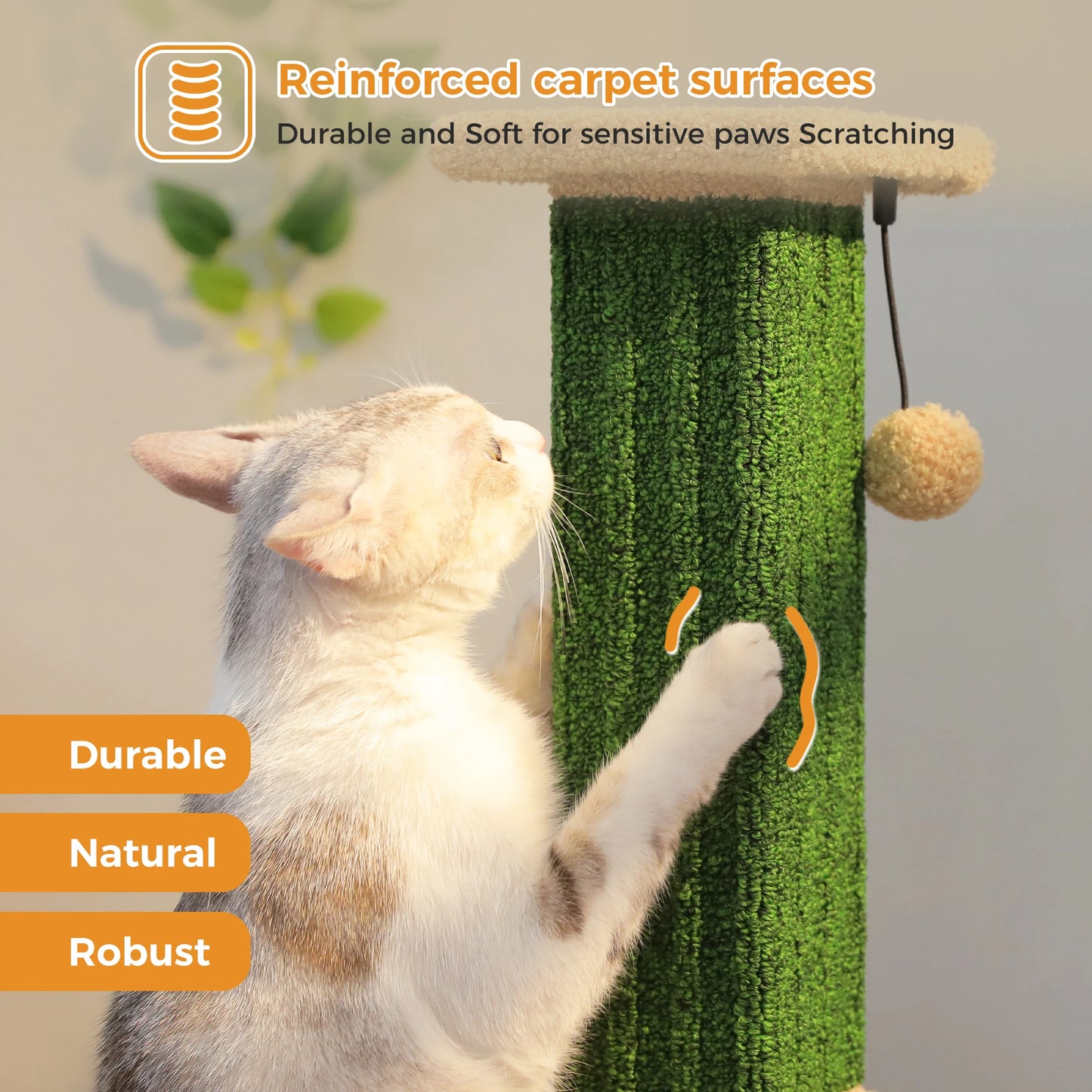 Large Cat Scratching Post for Indoor Cats