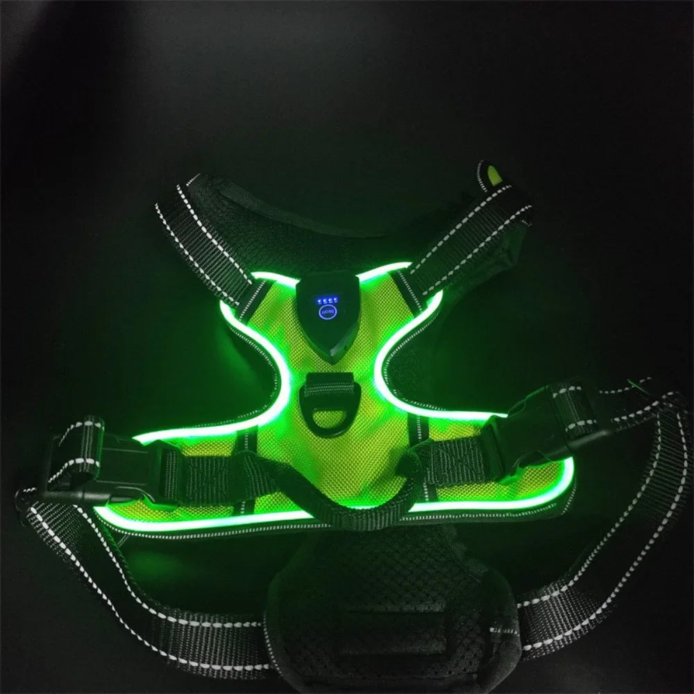 Durable Light Up LED Pet Harness