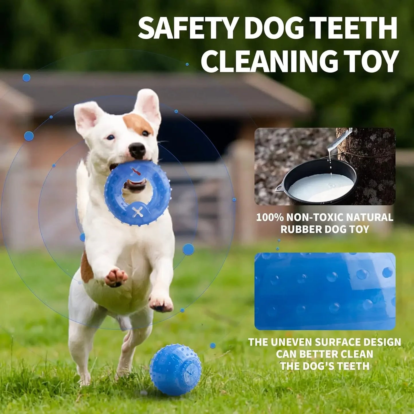 Summer Dog Chew Toys