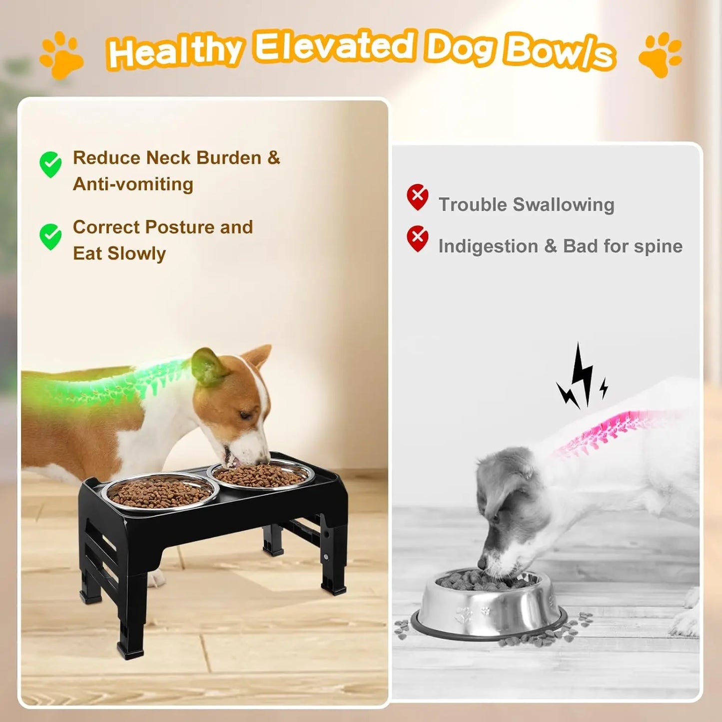 Elevated Dog Bowls for Small Medium Pets