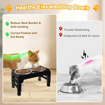 Elevated Dog Bowls for Small Medium Pets