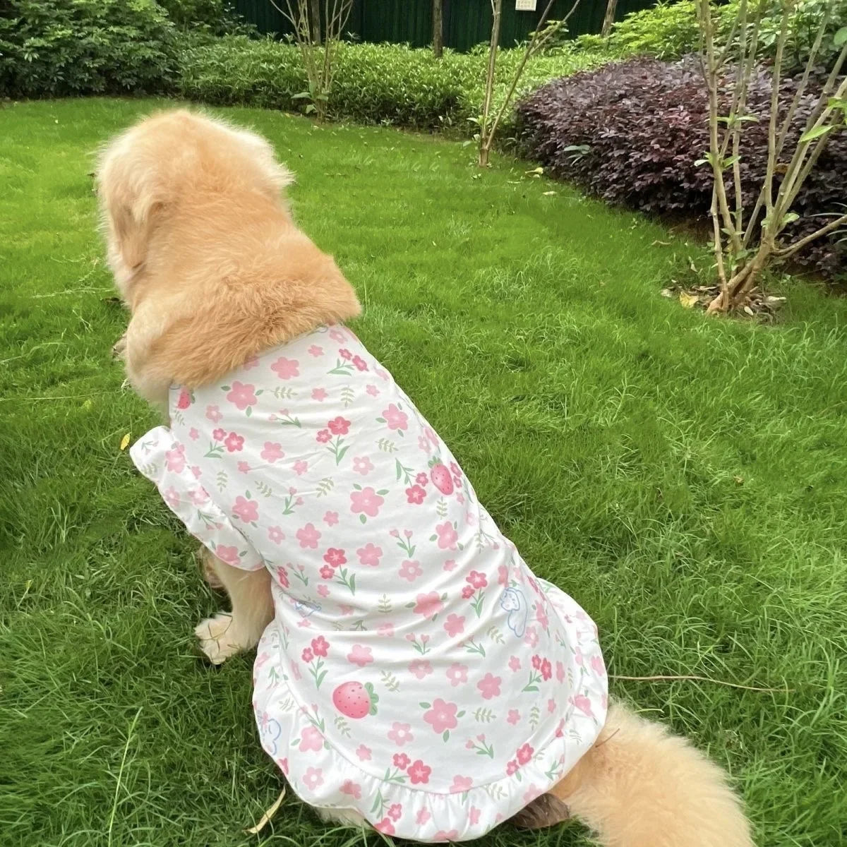 Summer Print Dog Shirt Dress
