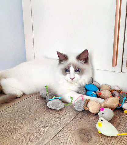 Prefilled Catnip Rattle Cat Mouse Toys