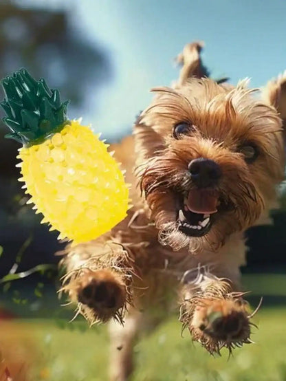 Pet Chew Toy for Summer