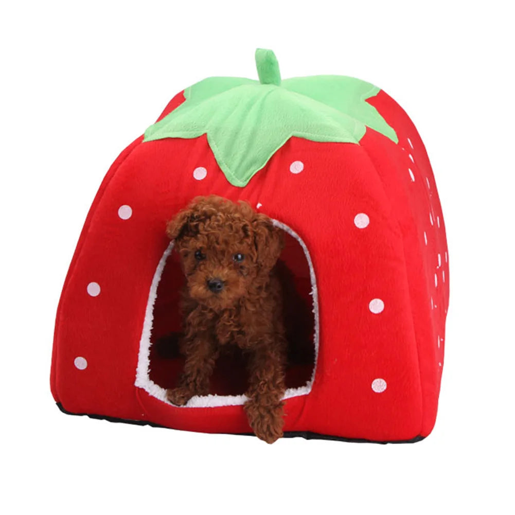 Cute Pet House Foldable and Cozy