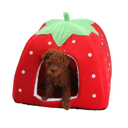 Cute Pet House Foldable and Cozy