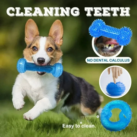 Summer Dog Chew Toys