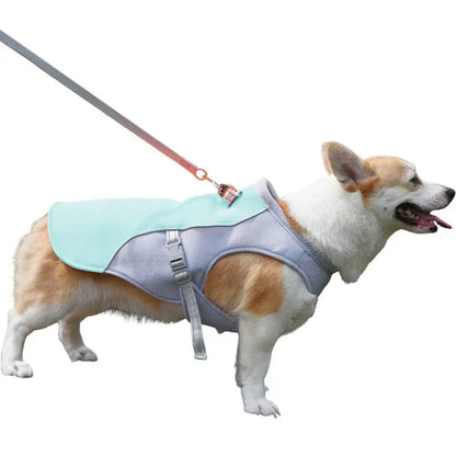 Dog Cooling Summer Harness