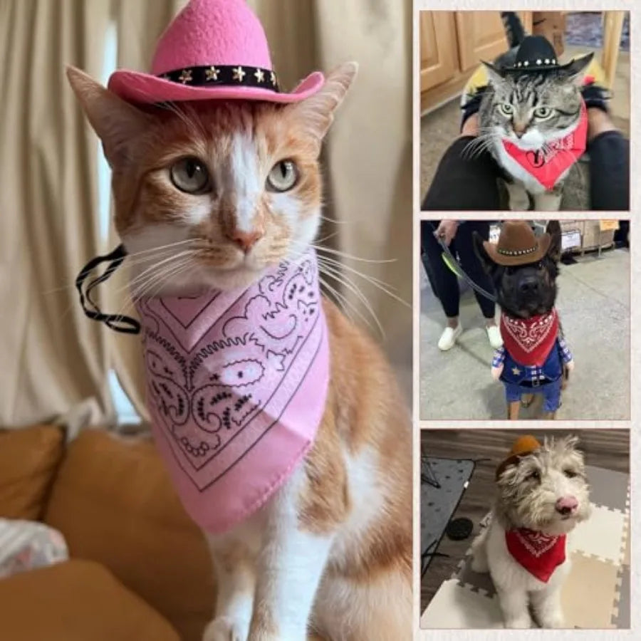 2-Piece Small Pet Cowgirl Costume