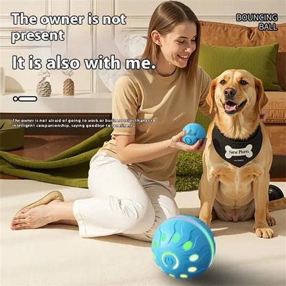 Smart Pet Interactive Toy Ball
