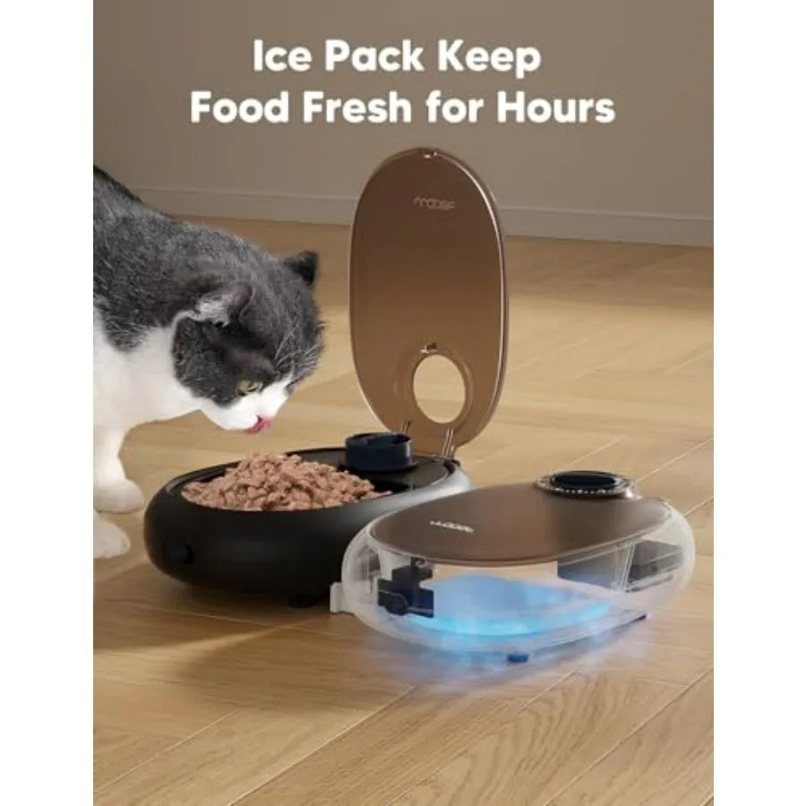 Automatic Pet Feeder