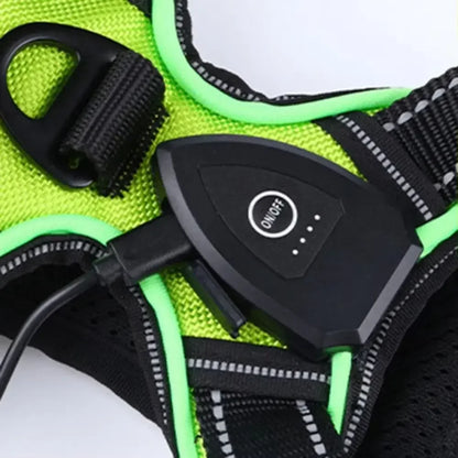 Durable Light Up LED Pet Harness