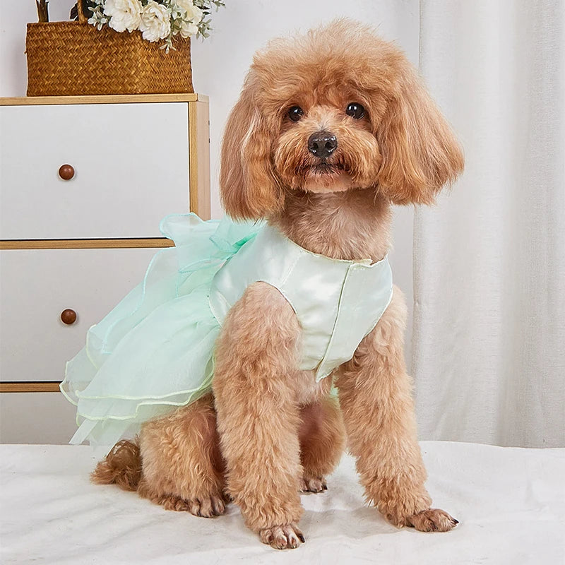 Party Princess Dresse for Small Pets