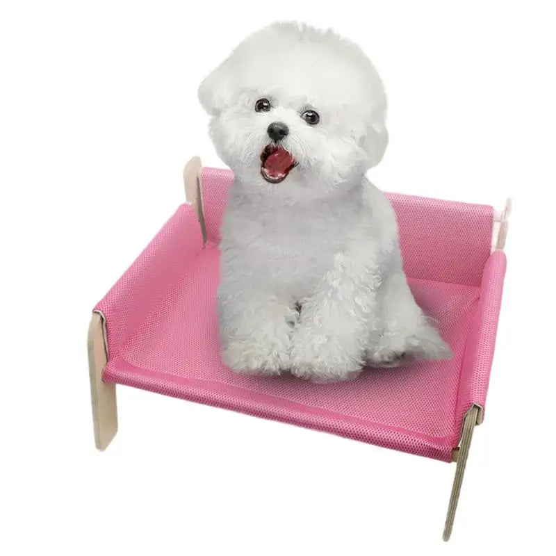 Cute Couch Bed for Cats or Doggies