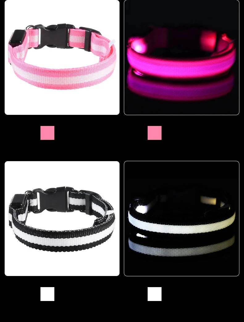 Nylon LED Night Safety Pet Dog Collar