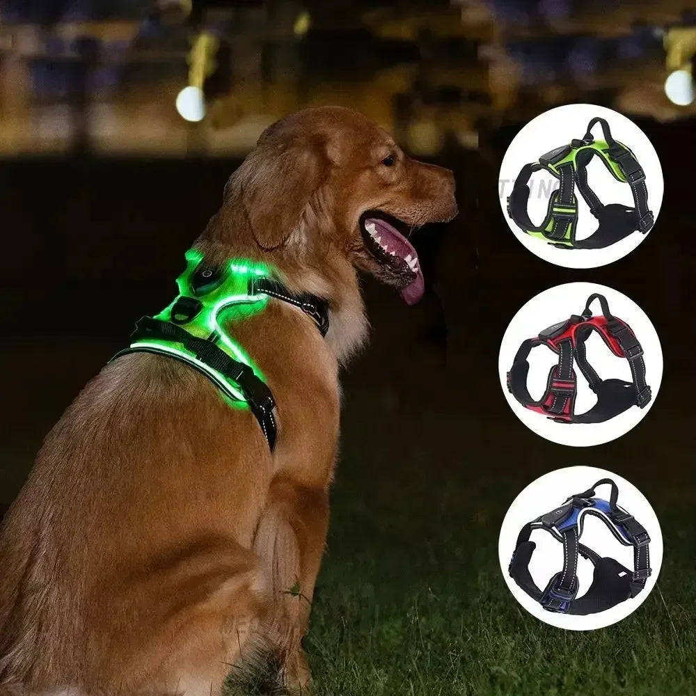 Durable Light Up LED Pet Harness