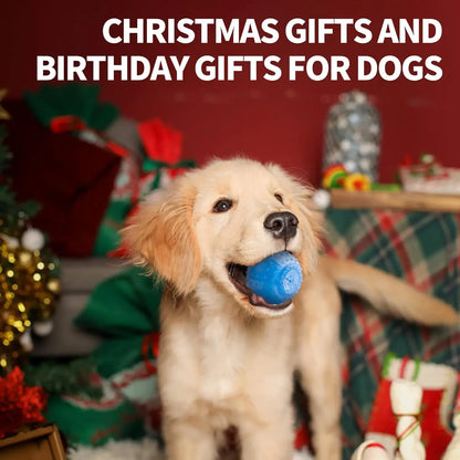 Summer Dog Chew Toys