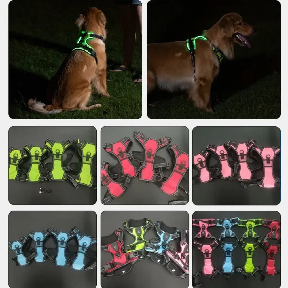 Durable Light Up LED Pet Harness