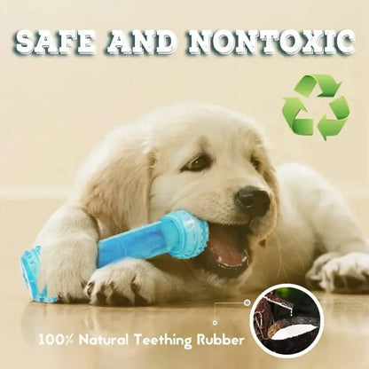 Summer Dog Chew Toys
