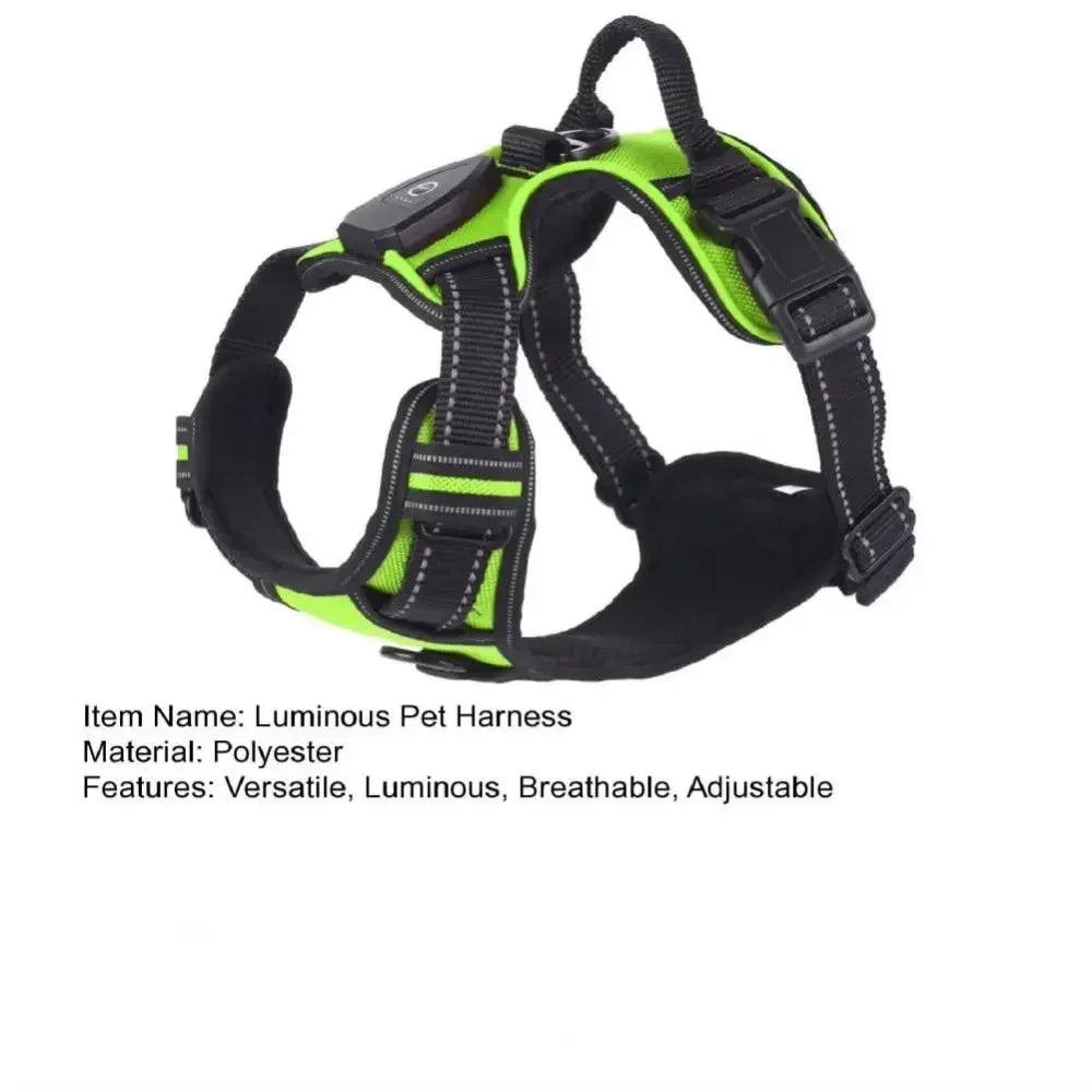 Durable Light Up LED Pet Harness